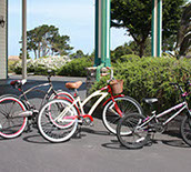 Photo of bycicles for rent at Emerald Dolphin.
