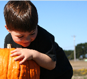Photo of young boy with a pumpkin for halloween.