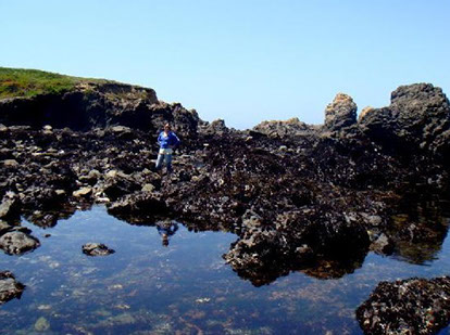Jughandle State Park/ Girl stands on rocky shore line.