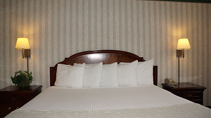 European King Size bed with double nightstands, lamps and direct dial phone.